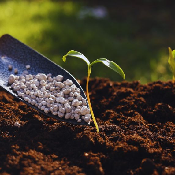 Fertilizing